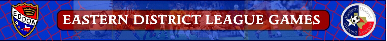 South Texas Youth Soccer Association